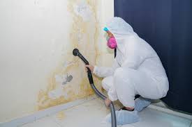 Best Comprehensive Air Testing for Mold Contaminants in Twentynine Palms, CA